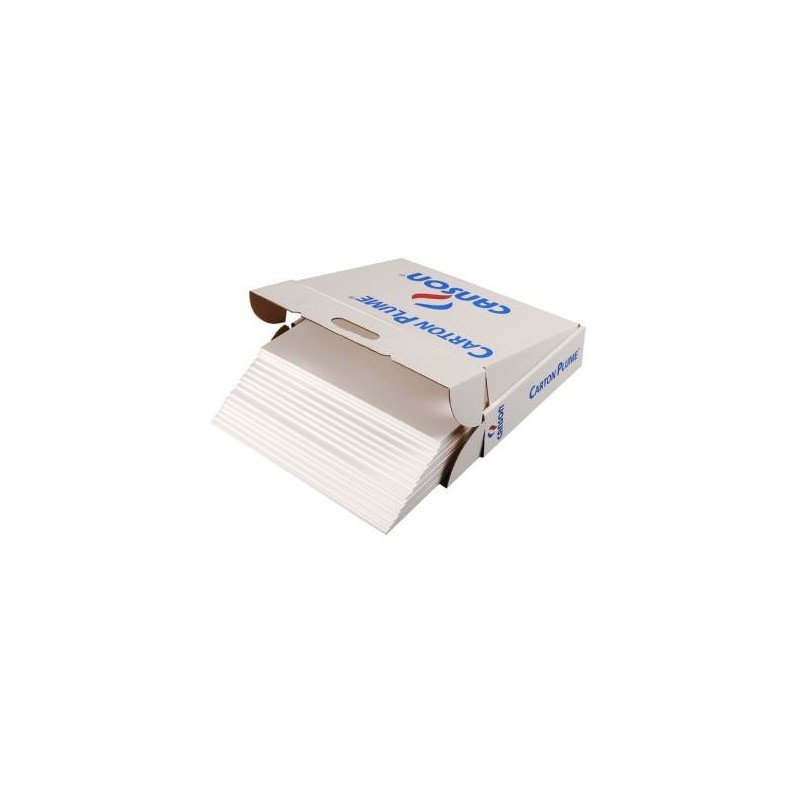 7743-CARTON PLUMA A3 5MM BL CANSON C205154223