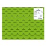 7754-PACK 25 HOJAS CARTULINA IRIS 50X65 185G VERDE BILLAR CANSON C200040238