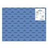 7756-PACK 25 HOJAS CARTULINA IRIS 50X65 185G AZUL MAR CANSON C200040234
