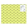 7757-PACK 25 HOJAS CARTULINA IRIS 50X65 185G VERDE MANZANA CANSON C200040237
