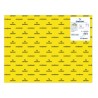 7761-PACK 25 HOJAS CARTULINA IRIS 50X65185G AMARILLO CANARIO CANSON C200040221
