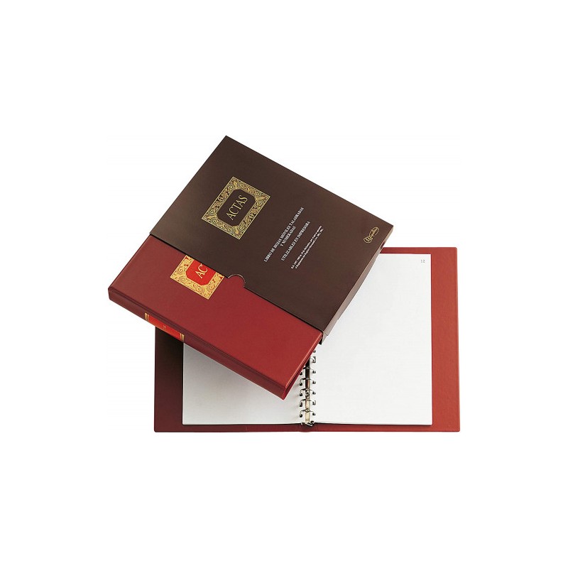 8216-Miquelrius 4102 cuaderno y block 100 hojas Marron