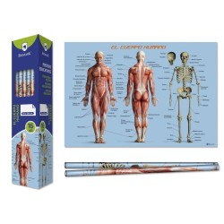 8667-Bismark Poster Cuerpo Humano 70 x 100 cm