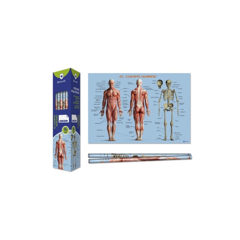8667-Bismark Poster Cuerpo Humano 70 x 100 cm 8667-Bismark Poster Cuerpo Humano 70 x 100 cm