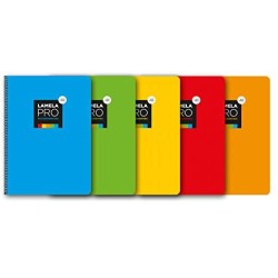 8750-CUADERNO FOLIO EXTRA DURA 100 HOJAS. 4 MM., SURTIDOS LAMELA