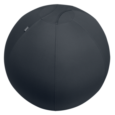 Leitz Active Sitzball 55cm Gris Interior Esferico