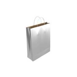 9550-Bismark 329849 papel de regalo Bolsa para regalos