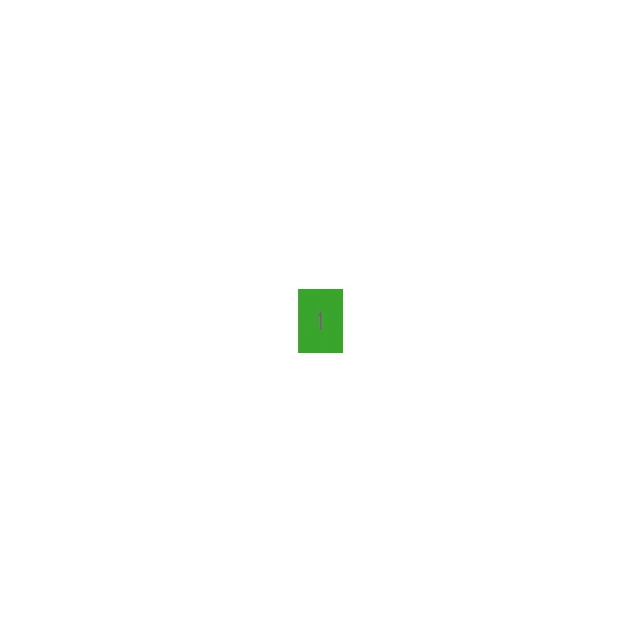 9715-PACK 20 HOJAS (20 UDS) ETIQUETAS VERDES 210X297MM APLI 1602.