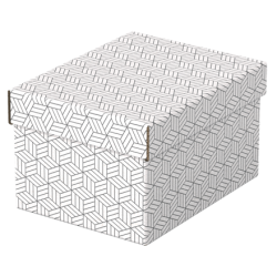 9907-PACK 3 CAJAS BLANCAS 255X200X150MM ESSELTE 628280