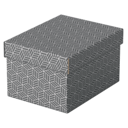 9909-PACK 3 CAJAS GRISES 255X200X150MM ESSELTE 628281