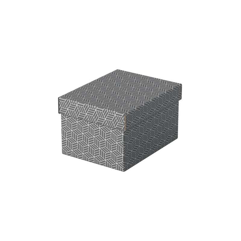 9909-PACK 3 CAJAS GRISES 255X200X150MM ESSELTE 628281 9909-PACK 3 CAJAS GRISES 255X200X150MM ESSELTE 628281