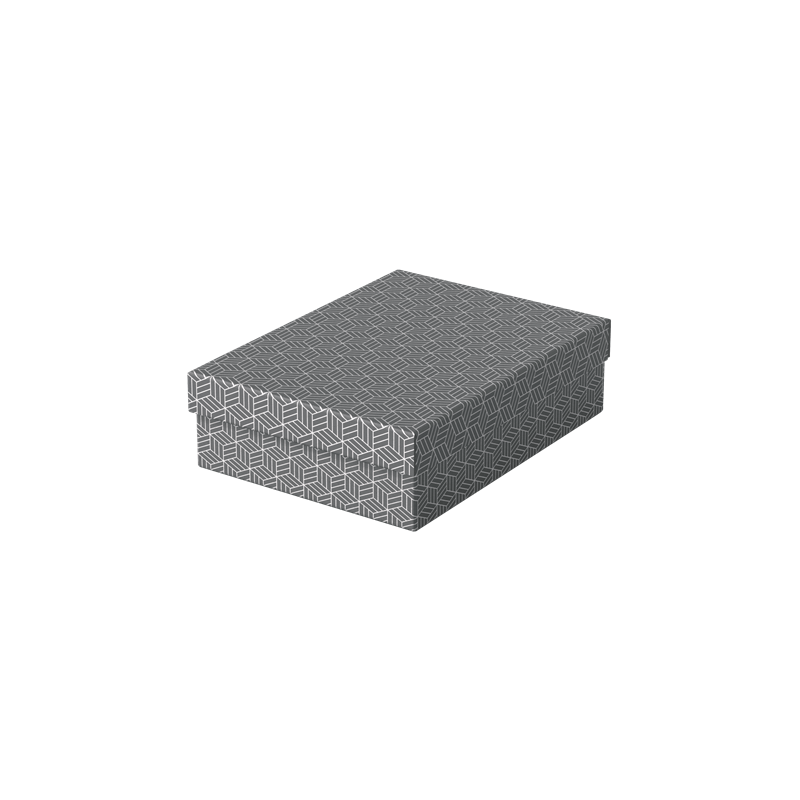 9913-PACK 3 CAJAS GRISES 360X265X100MM ESSELTE 628285 9913-PACK 3 CAJAS GRISES 360X265X100MM ESSELTE 628285
